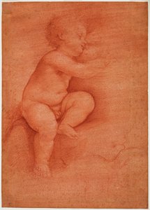Studie af putto (Baby Jesus), tidligt i det 16. århundrede (blod på rødt forberedt papir)